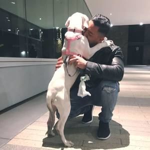 Meet your Posher, Albert